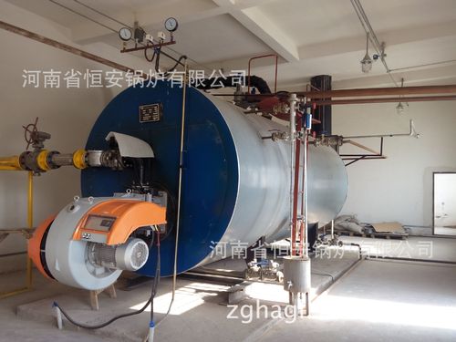 哈尔滨市燃气蒸汽锅炉 新型节能蒸汽锅炉